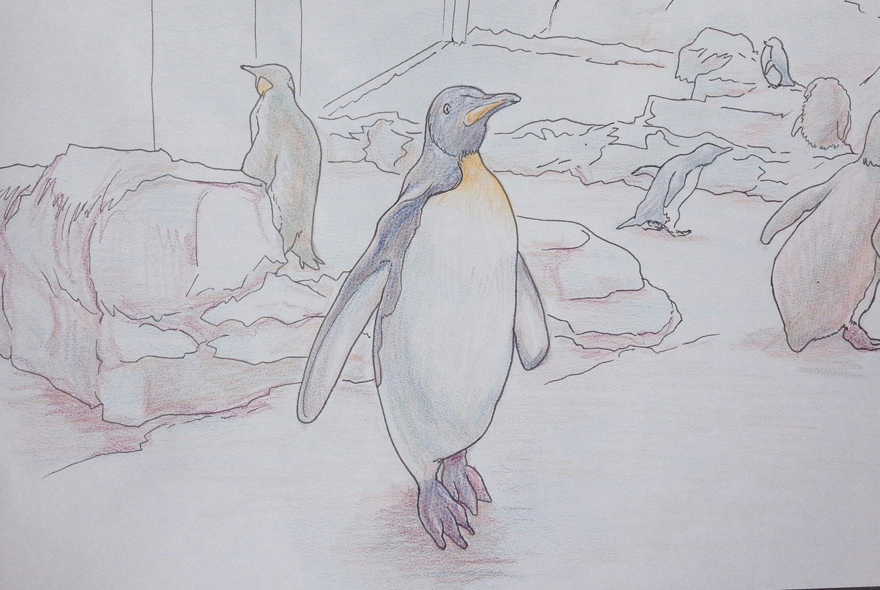 長崎ペンギン水族館でのスケッチ Photoshopで彩色バージョンも作成中 Maruri イラストを描くワーママ Note