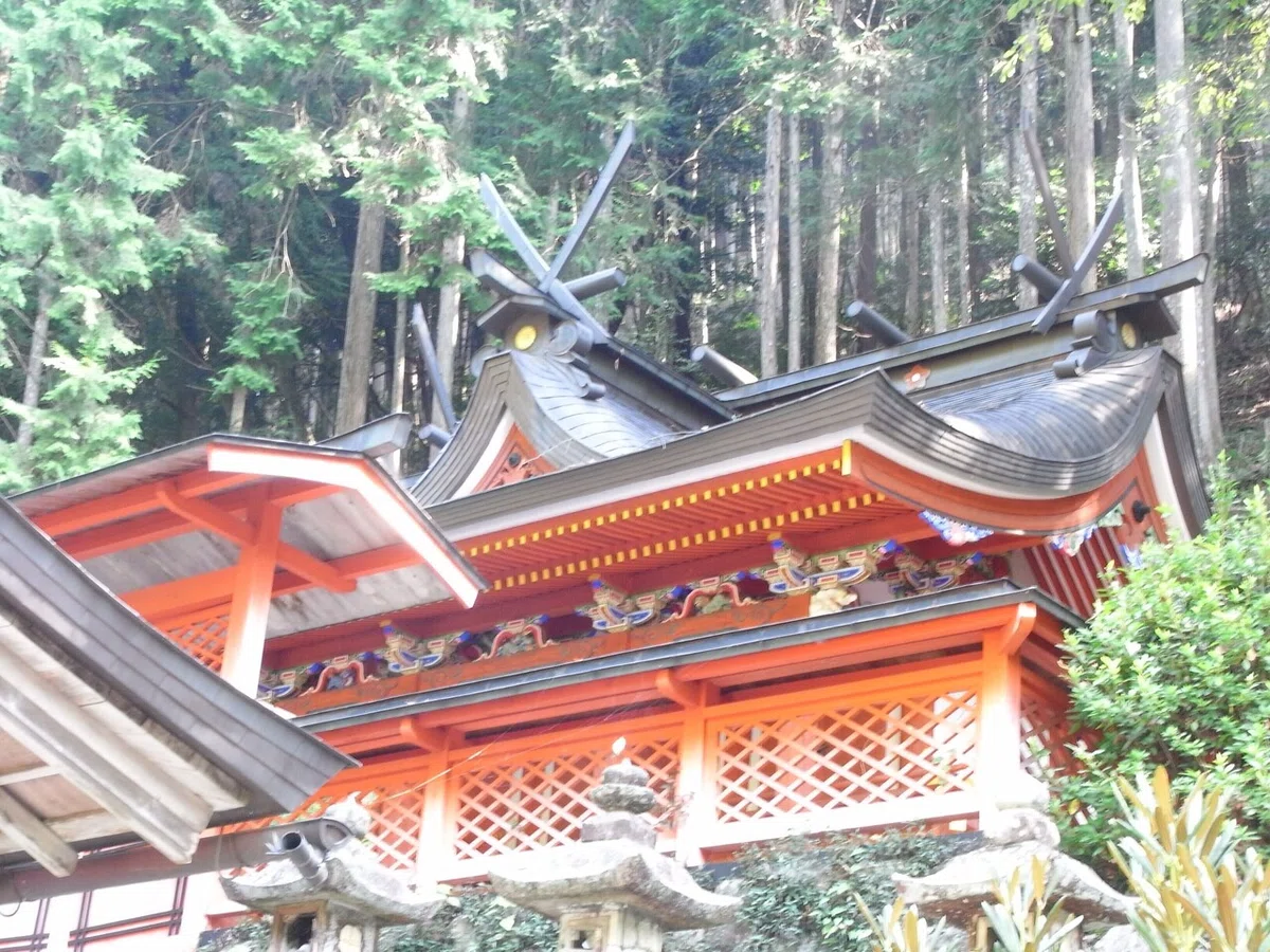 画像9