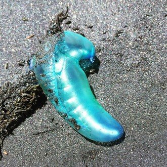 star_of_bba | 文学フリマ東京41 た-38