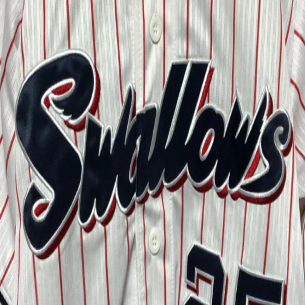 改訂 私家版・プロ野球ユニフォーム史 2004〜2021 Vol.23｜やまだしょてん