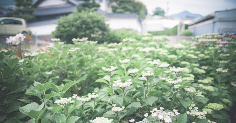 広島NHK杯の衝撃と哀しみ、決意