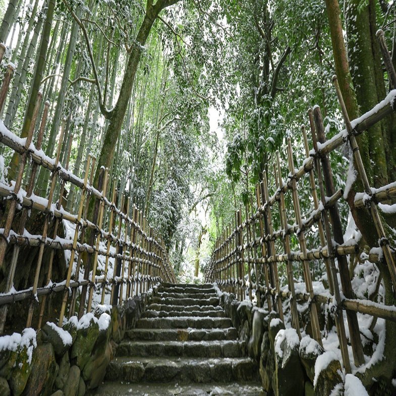 雪の詩仙堂｜京都散歩の旅