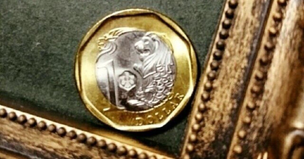 幸運のお守り✨｜sora