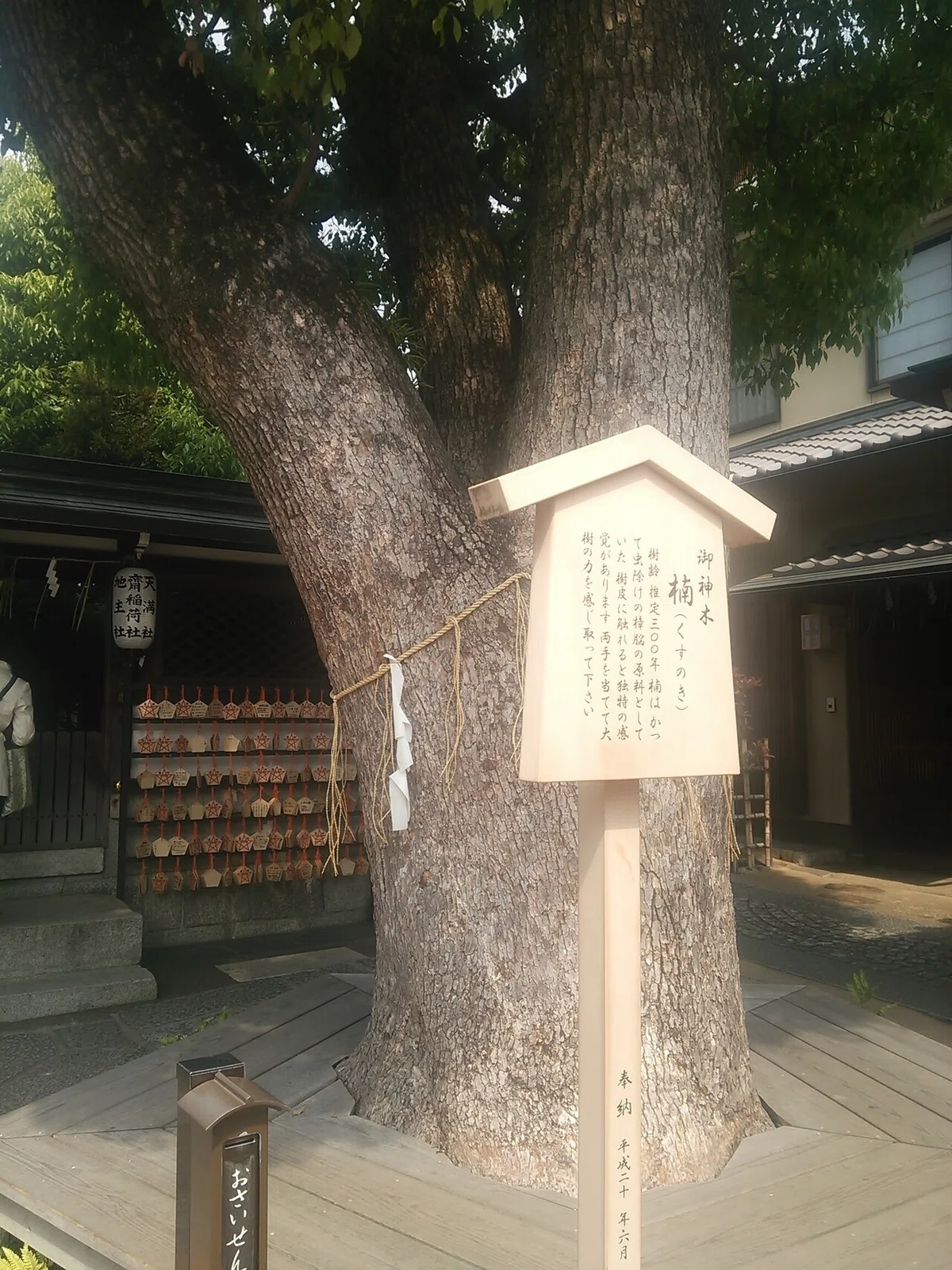 画像7