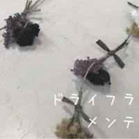 はじめまして 木の下の花屋 Kazamidoriです 木の下の花屋 Kazamidori Note はじめまして 木の下の花屋 Kazamidoriです 木の下の花屋 Kazamidori Note