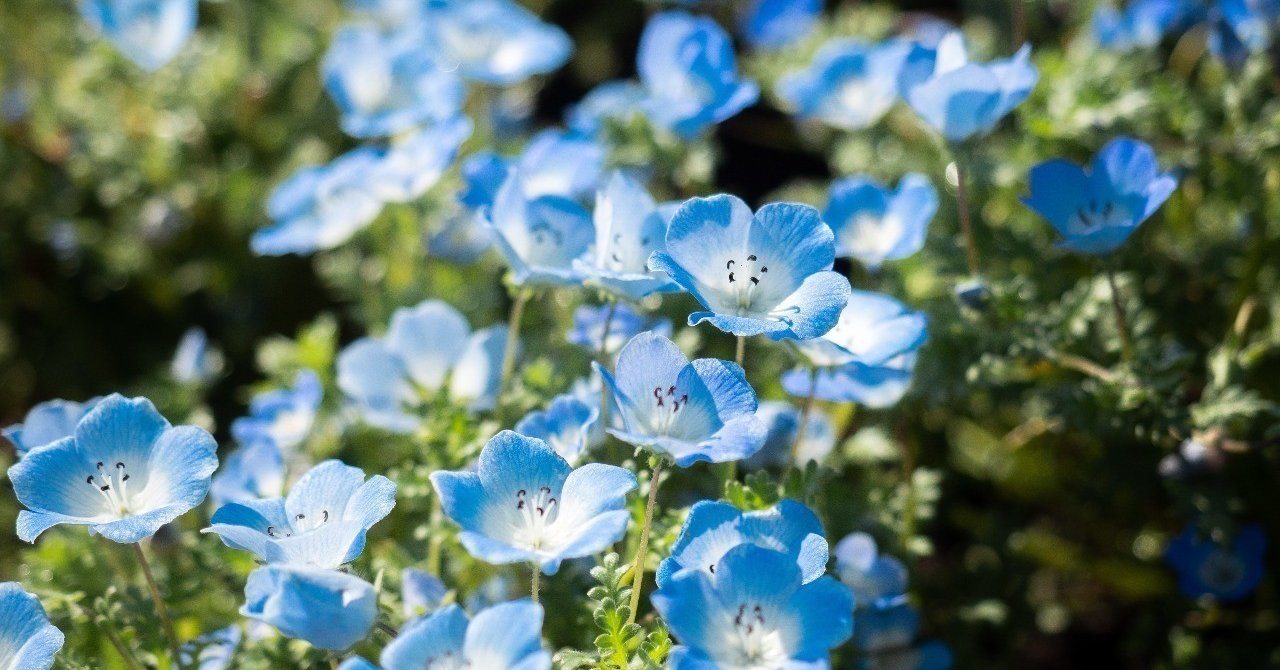 英語にも ふりかな がある 三浦陽一 Note 英語にも ふりかな がある 三浦陽一 Note