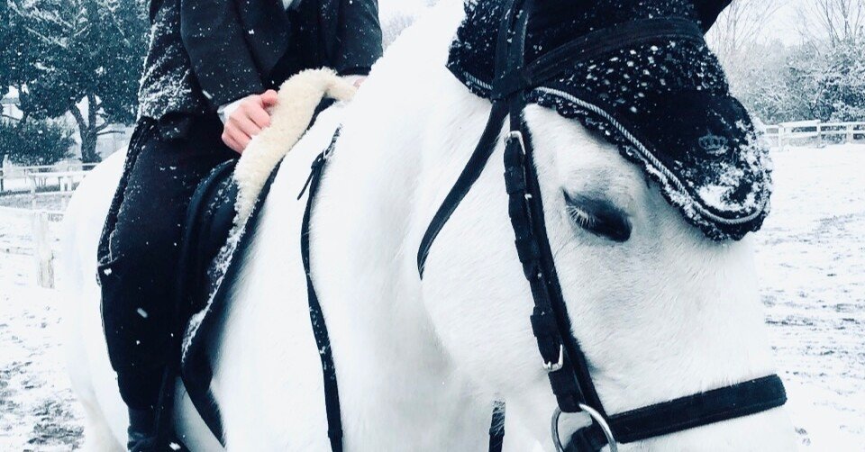 1fe789d0f33d7e3e8290526bafa29c