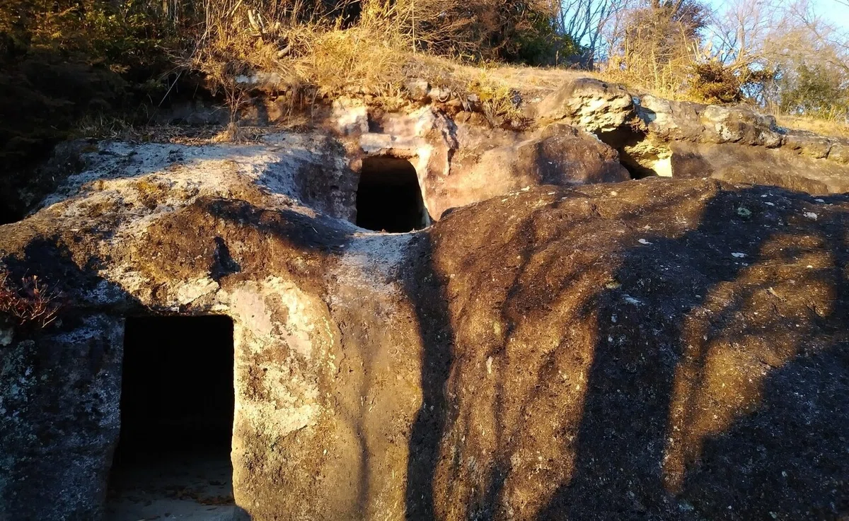 画像