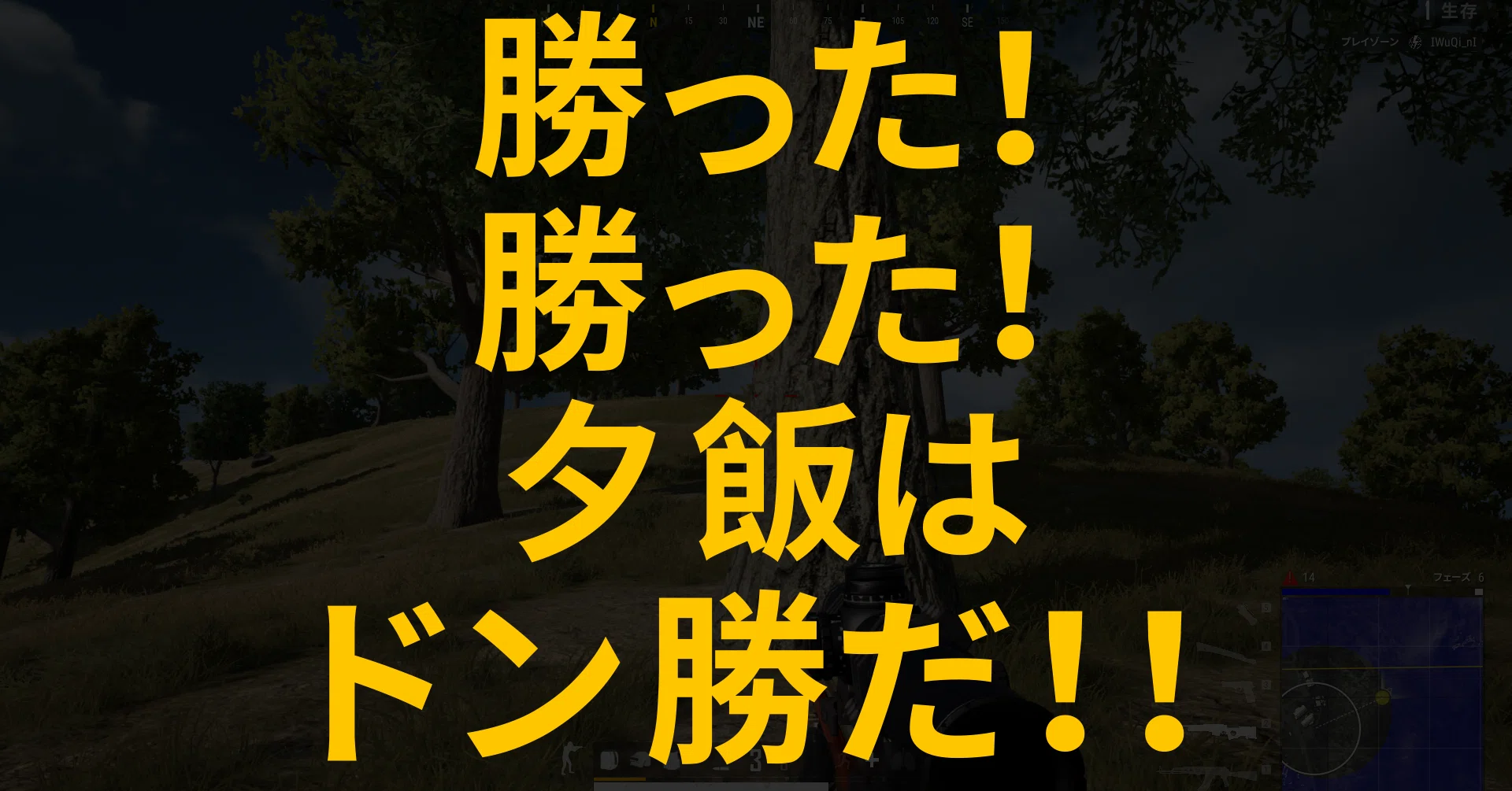 Pubg初心者向け記事 モード紹介編 コアラ丸 Note