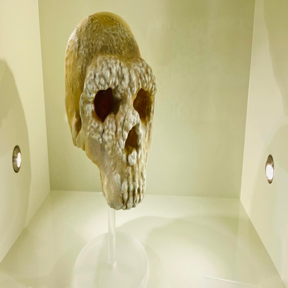 アルタムーラのパン 石 ネアンデルタール人 中小路葵 イタリア家庭料理研究家 Bologna Note