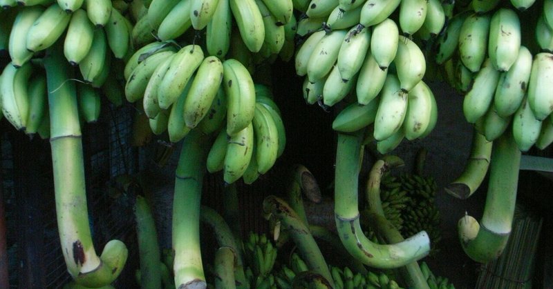 カレーの旅004：青いバナナ