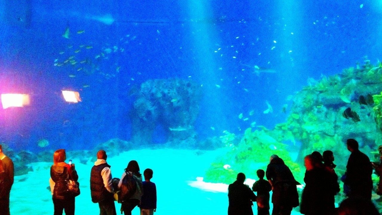 デンマーク】コペンハーゲン