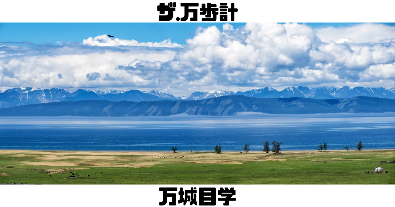 読書記録40『ザ・万歩計』つべこべ言わずできることをやる｜だるま