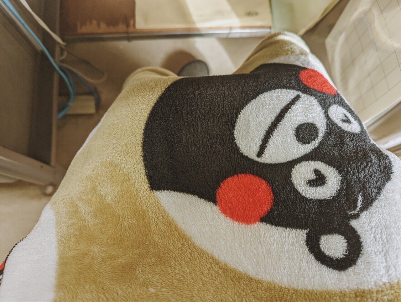 寿司とは何ですか？