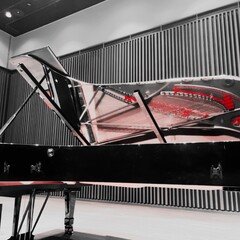 Mozart: Piano Sonata No.16 C Major, K.545 for 2 Pianos Transcription by E.Grieg