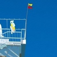 ねずみに倣う たたみいわし Note