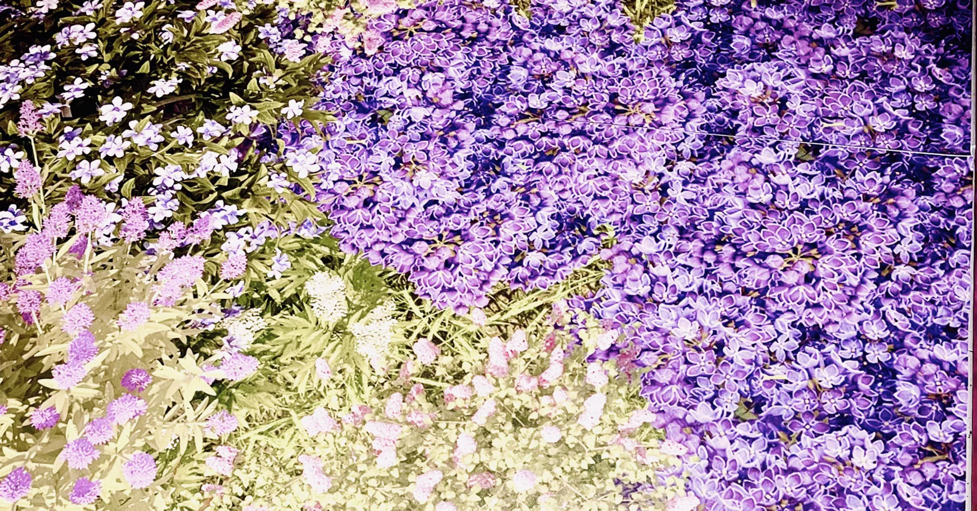 SLOW｜note