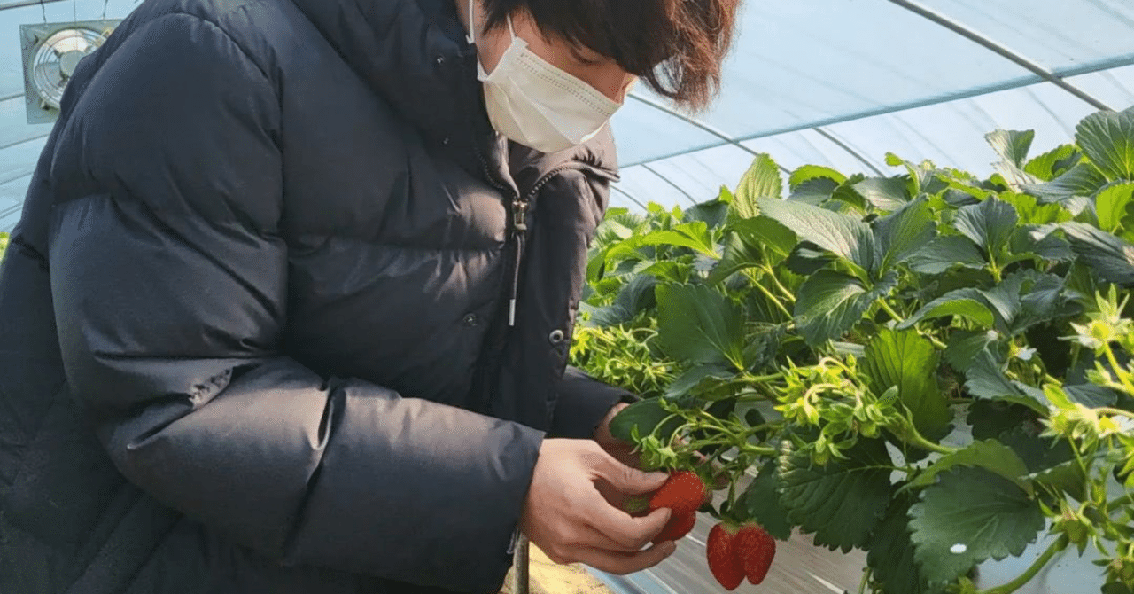 いちご狩り少年団…尊い… | BTS DAYS テテよりのオールペンBBAブログ