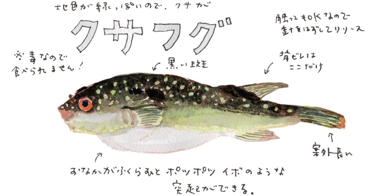 クサフグ の新着タグ記事一覧 Note つくる つながる とどける クサフグ の新着タグ記事一覧 Note つくる つながる とどける