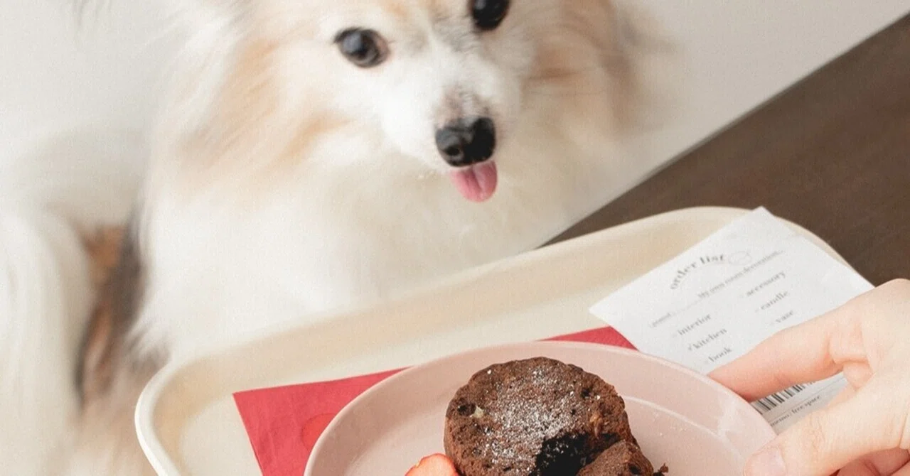 犬用バレンタインケーキ♡キャロブとバナナの、とろ〜りフォンダン 