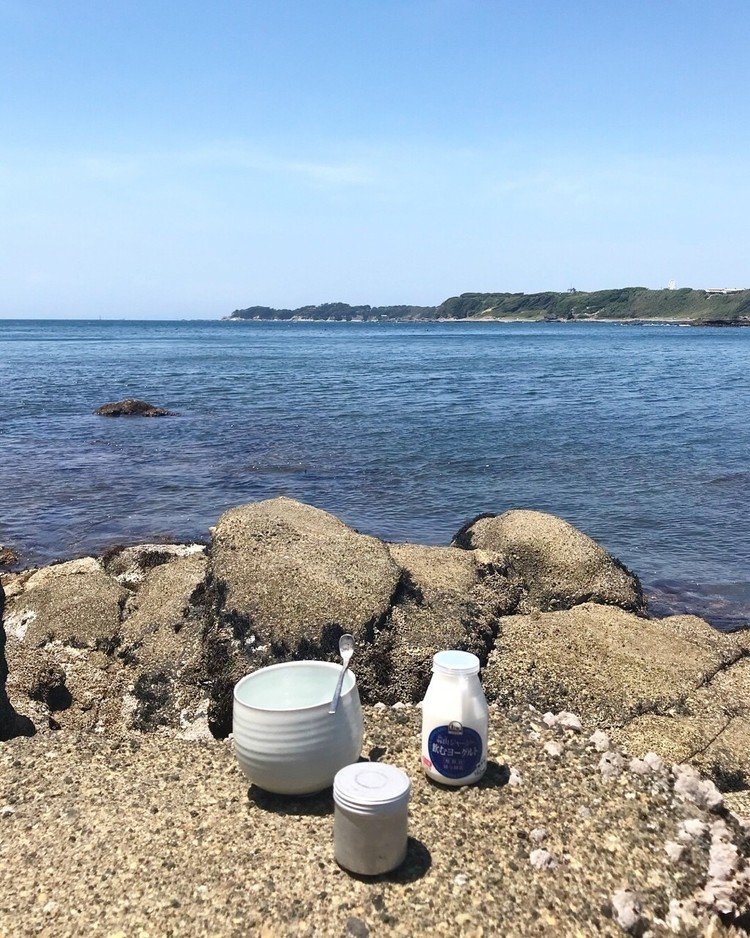 海を見ながらのむヨーグルトで野点をしました。

白磁茶碗／金属製の茶匙／のむヨーグルト／フィルムケース 見立野点茶器／独服