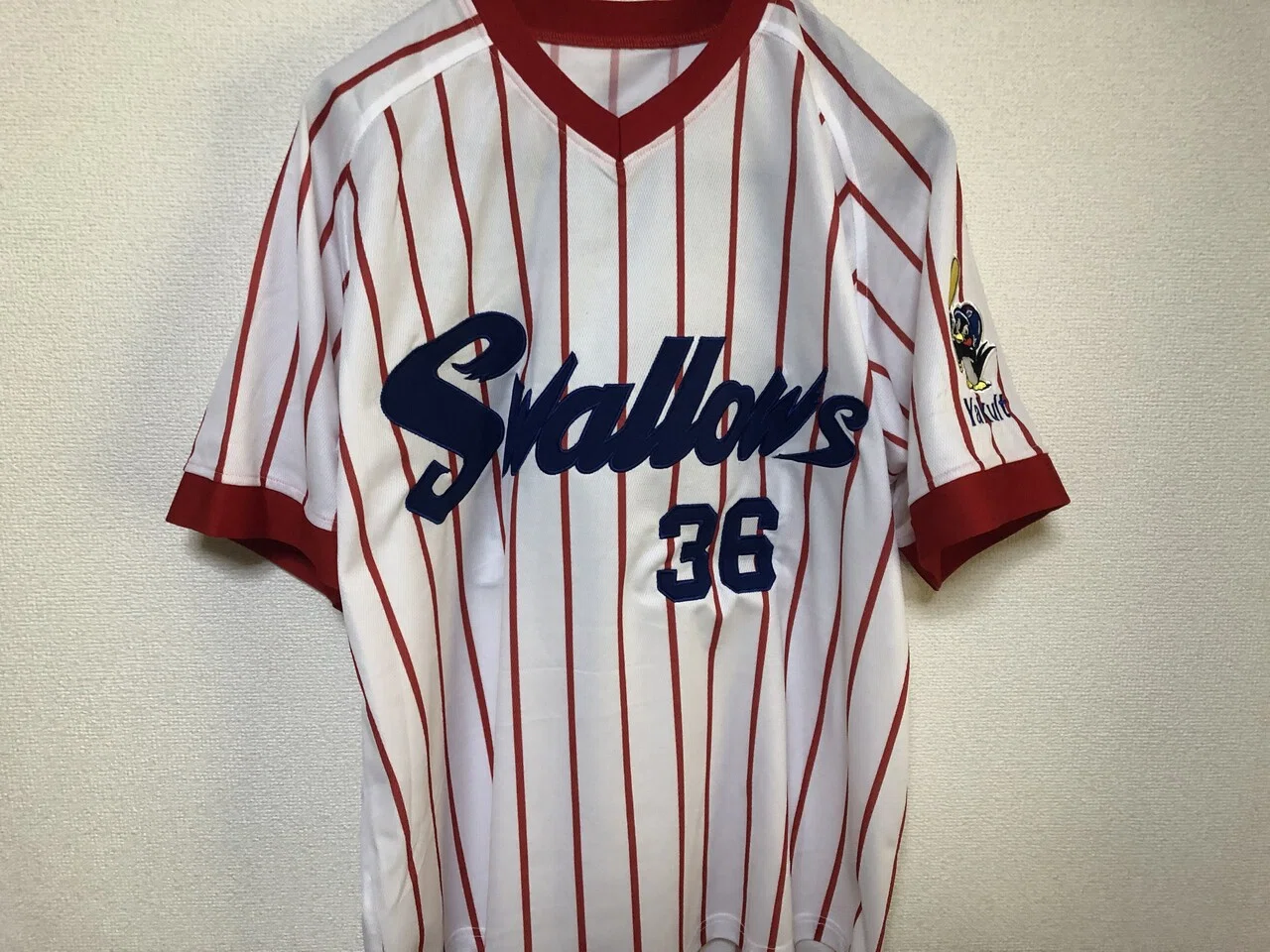 改訂 私家版・プロ野球ユニフォーム史 2004〜2021 Vol.25｜やまだしょてん