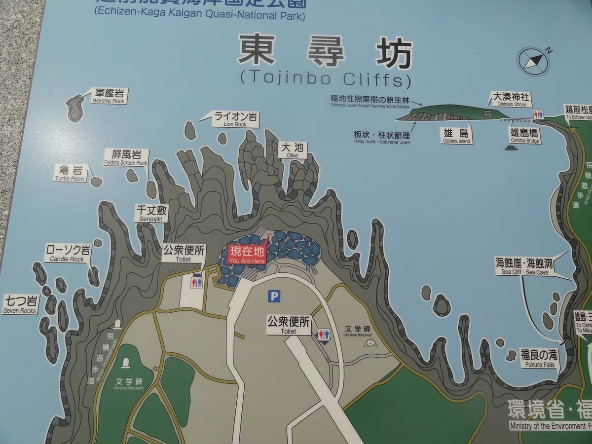 画像13