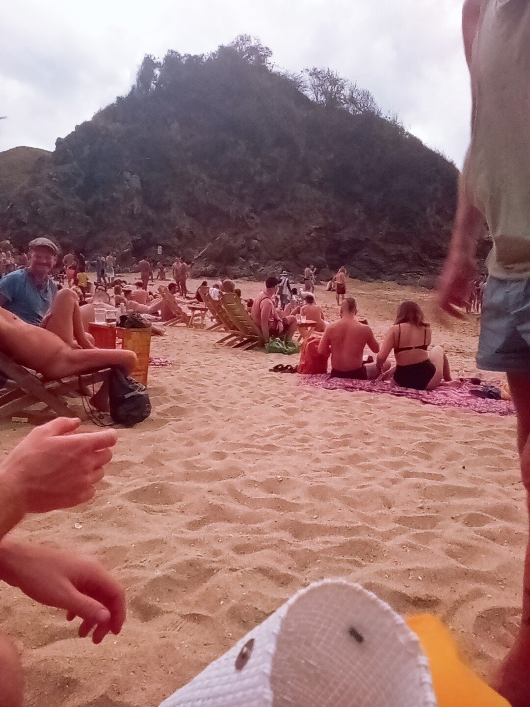 ヌーディストビーチ コンテスト 