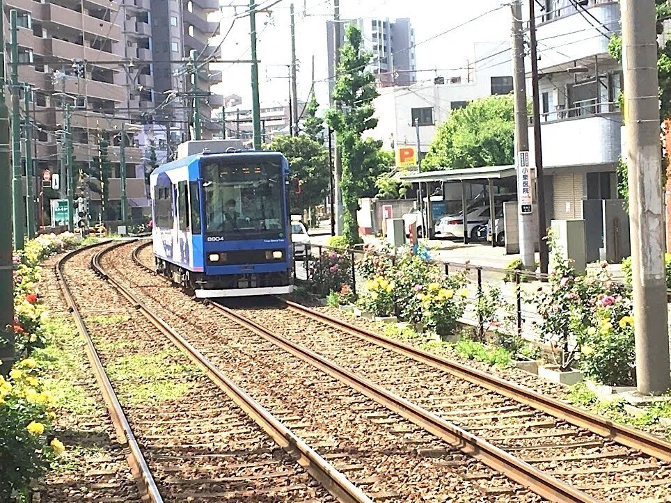 画像6