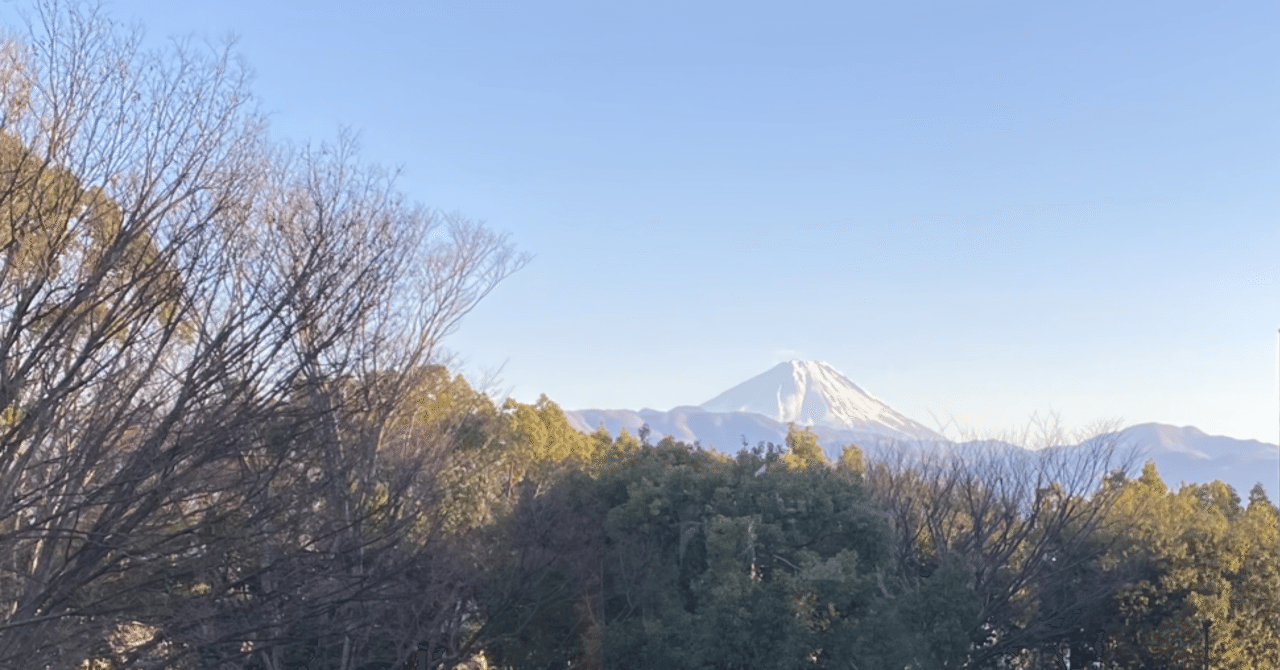 新年に買った本の話|2022年、西洋美術史を深掘りする!|お 新年に買った本の話|2022年、西洋美術史を深掘りする!|お