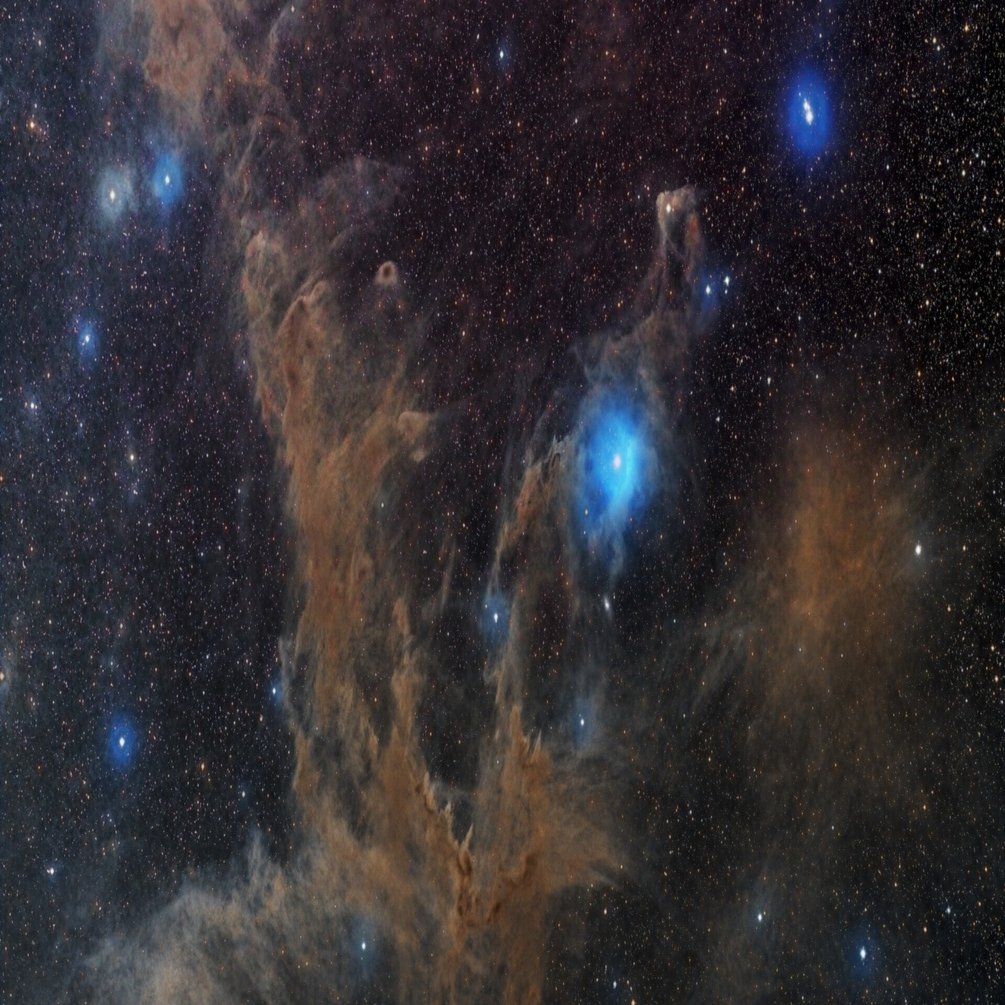 カメレオン座暗黒星雲｜yasu