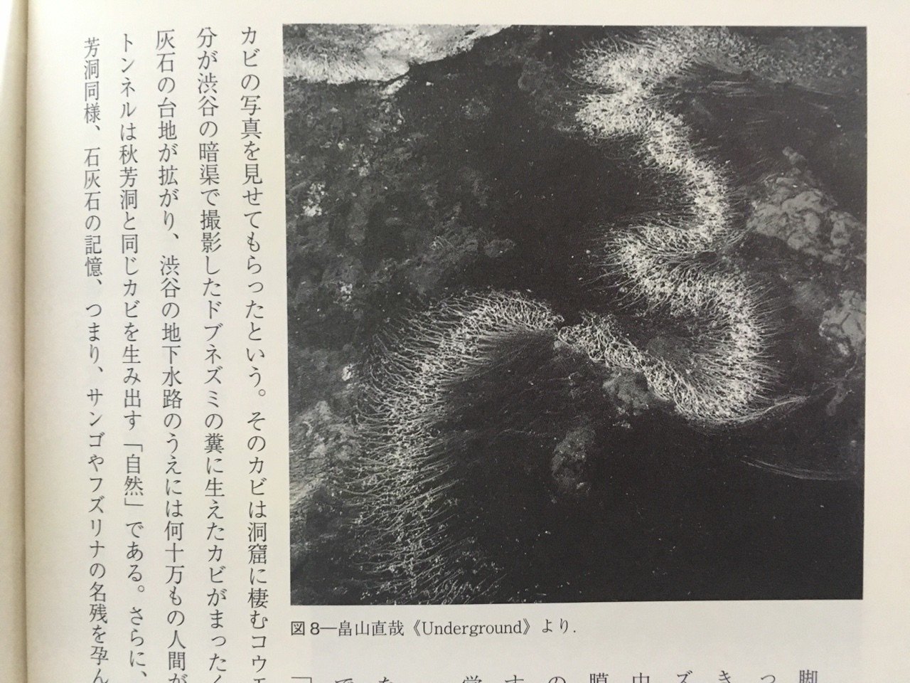 都市の詩学 : 場所の記憶と徴候(田中純 著) / 古本、中古本、古