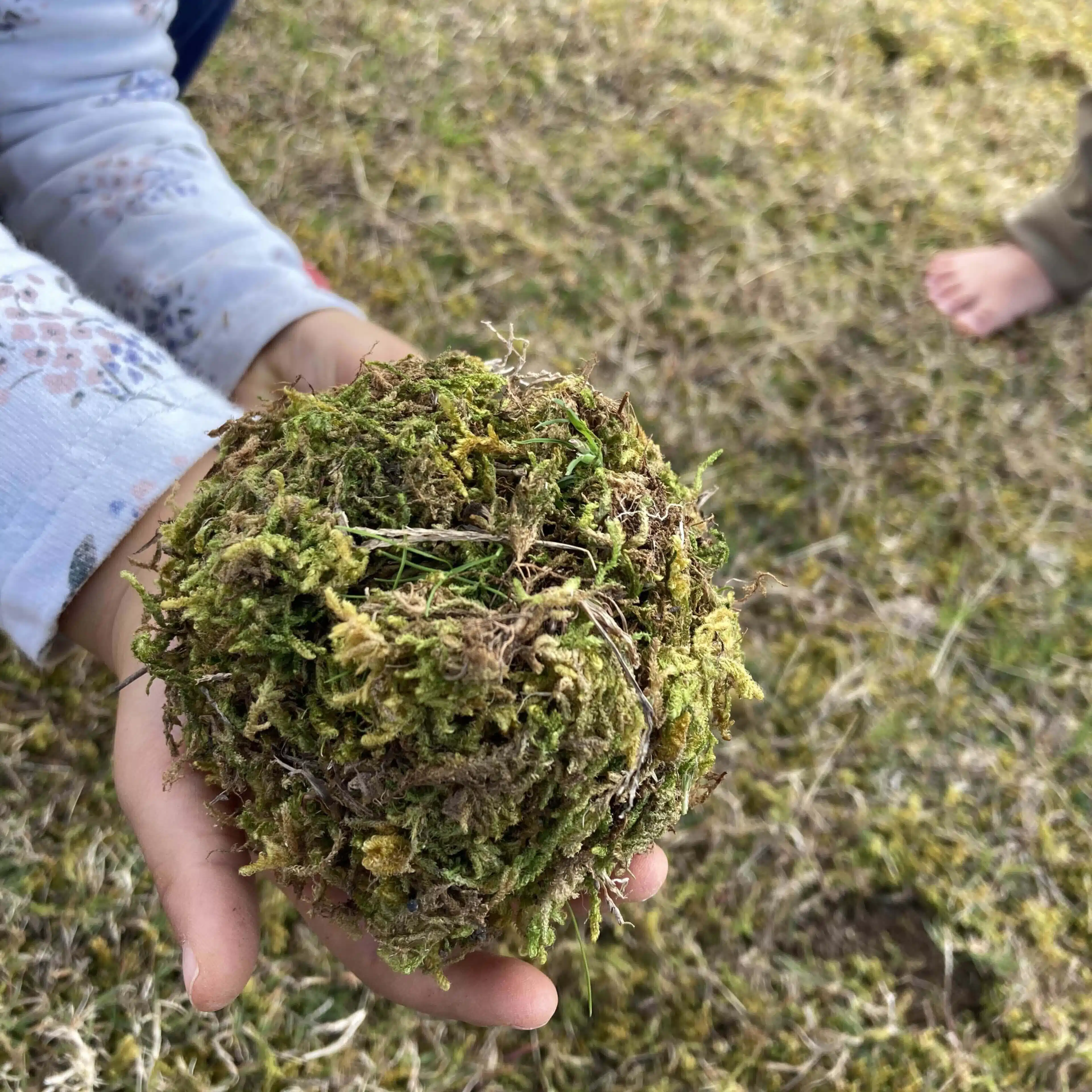 柚衣🌿気を楽にして生きる