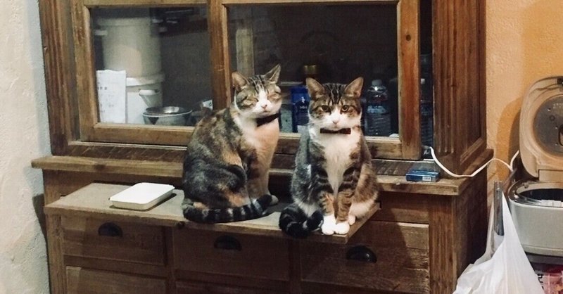 タケモトピアノ の新着タグ記事一覧 Note つくる つながる とどける