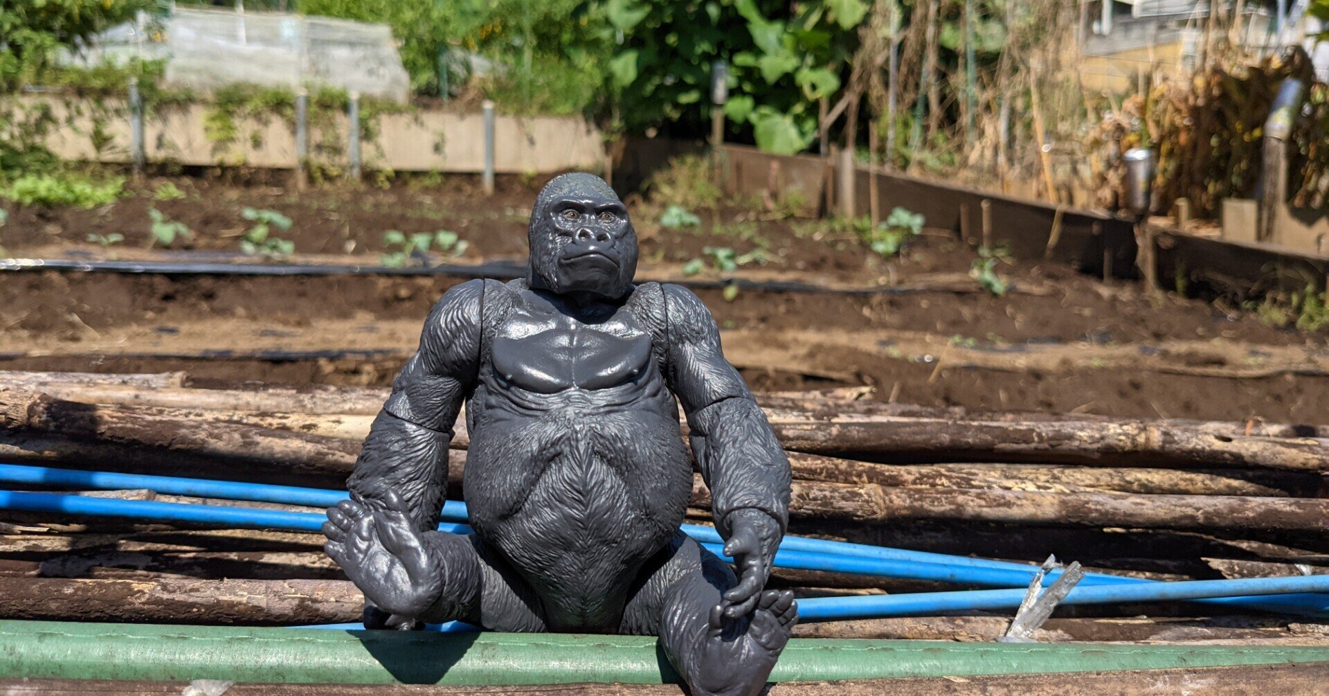 ゴリラページ TG201 ゴリラ