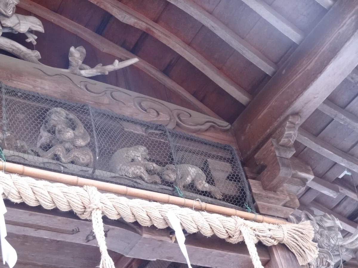 画像9