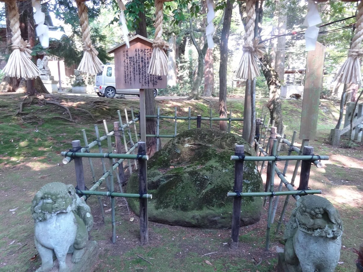 画像12