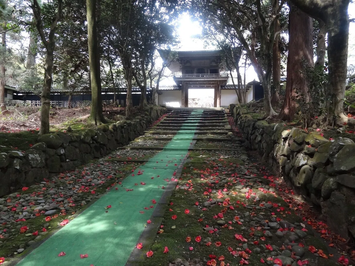 画像26
