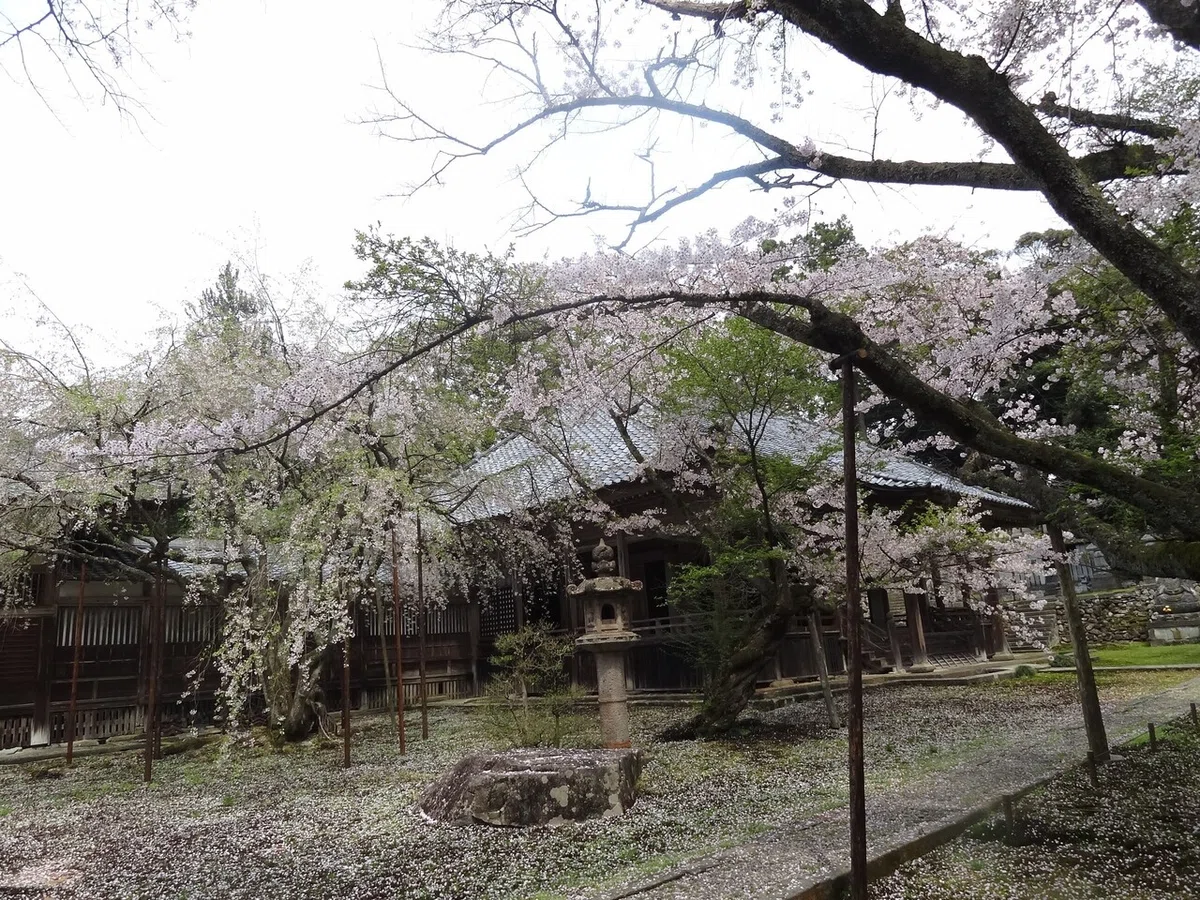 画像27