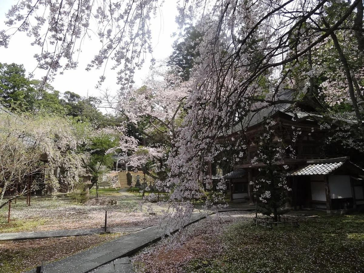 画像30
