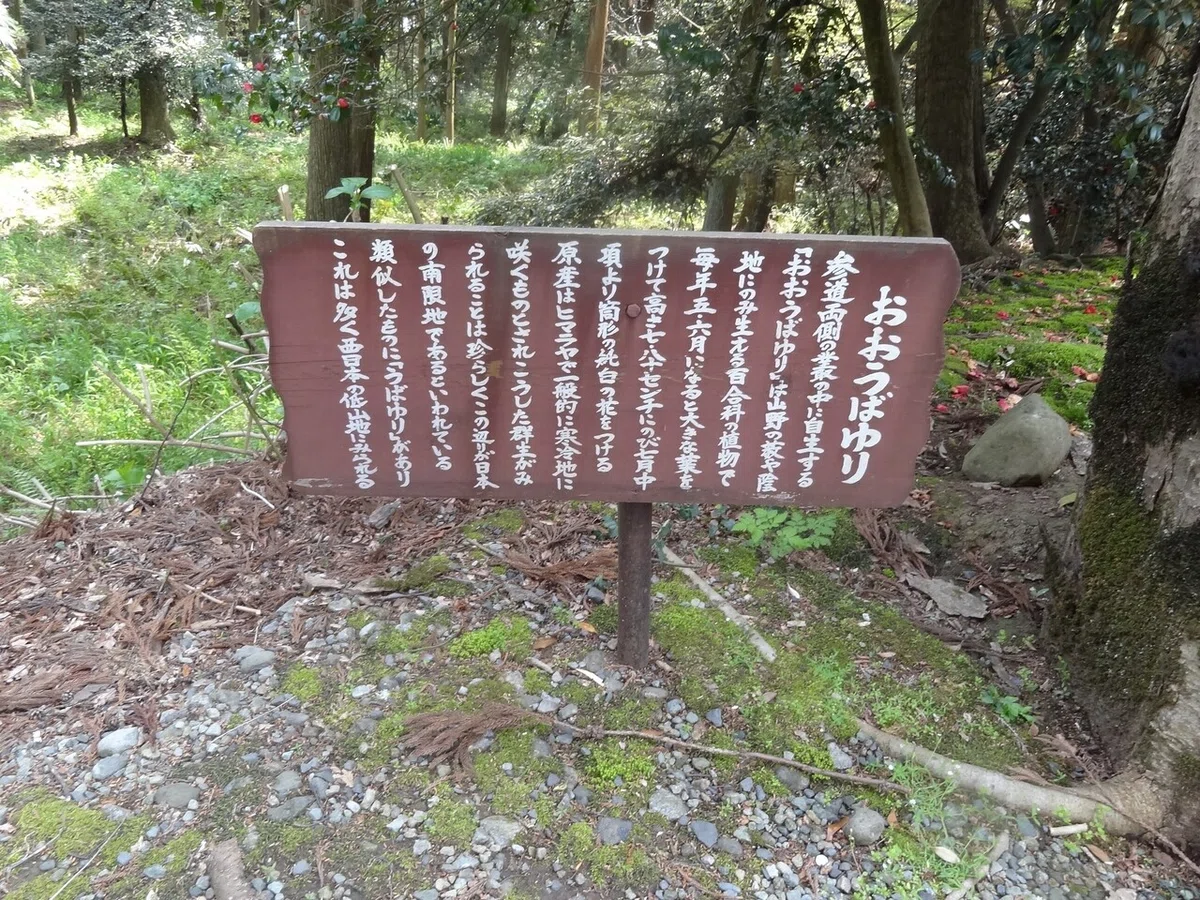 画像37