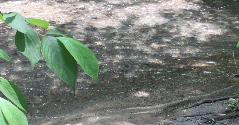 たいてい、優先順位は変動するものだから