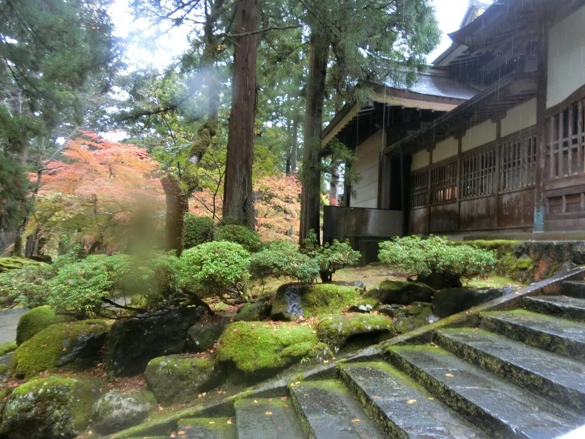 画像8