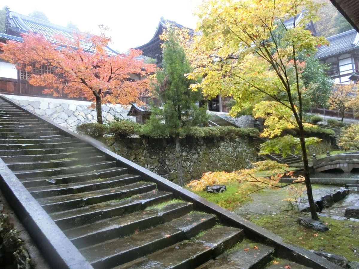 画像11