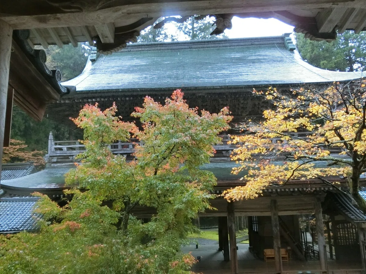 画像16