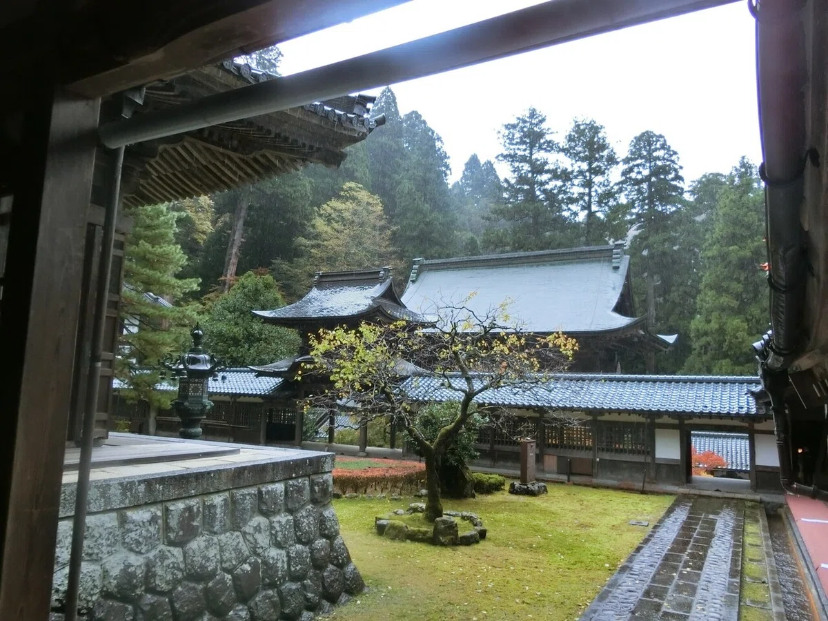 画像18