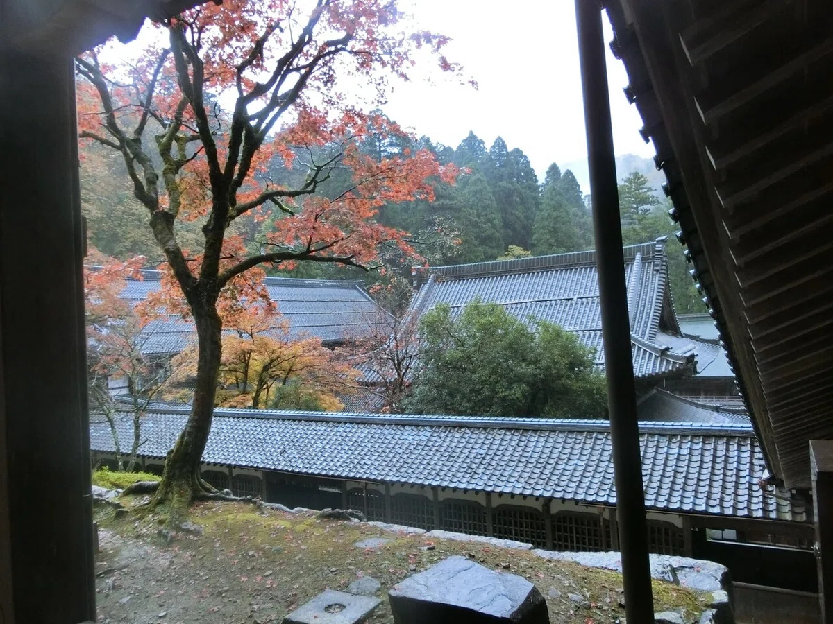画像21