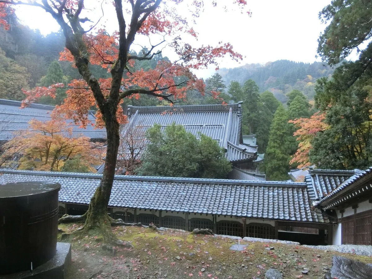 画像23
