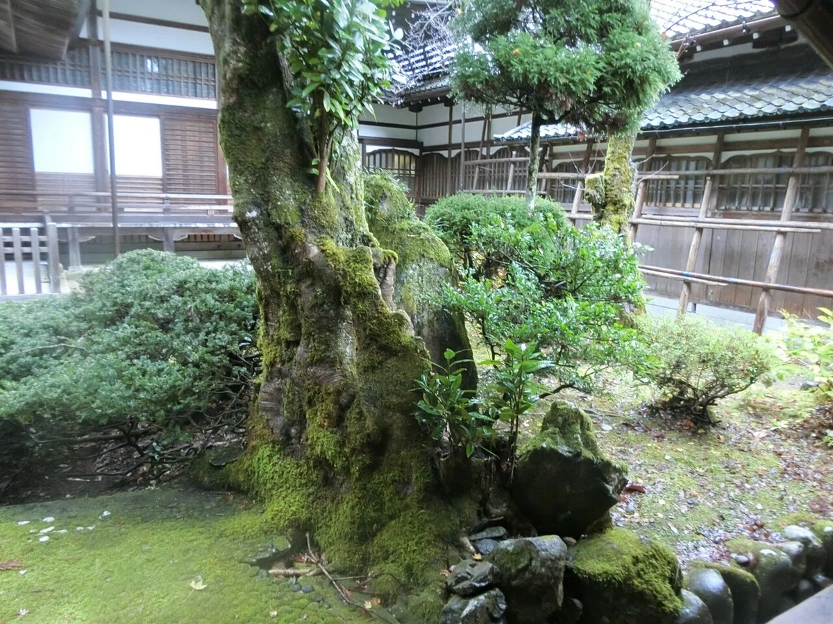 画像31