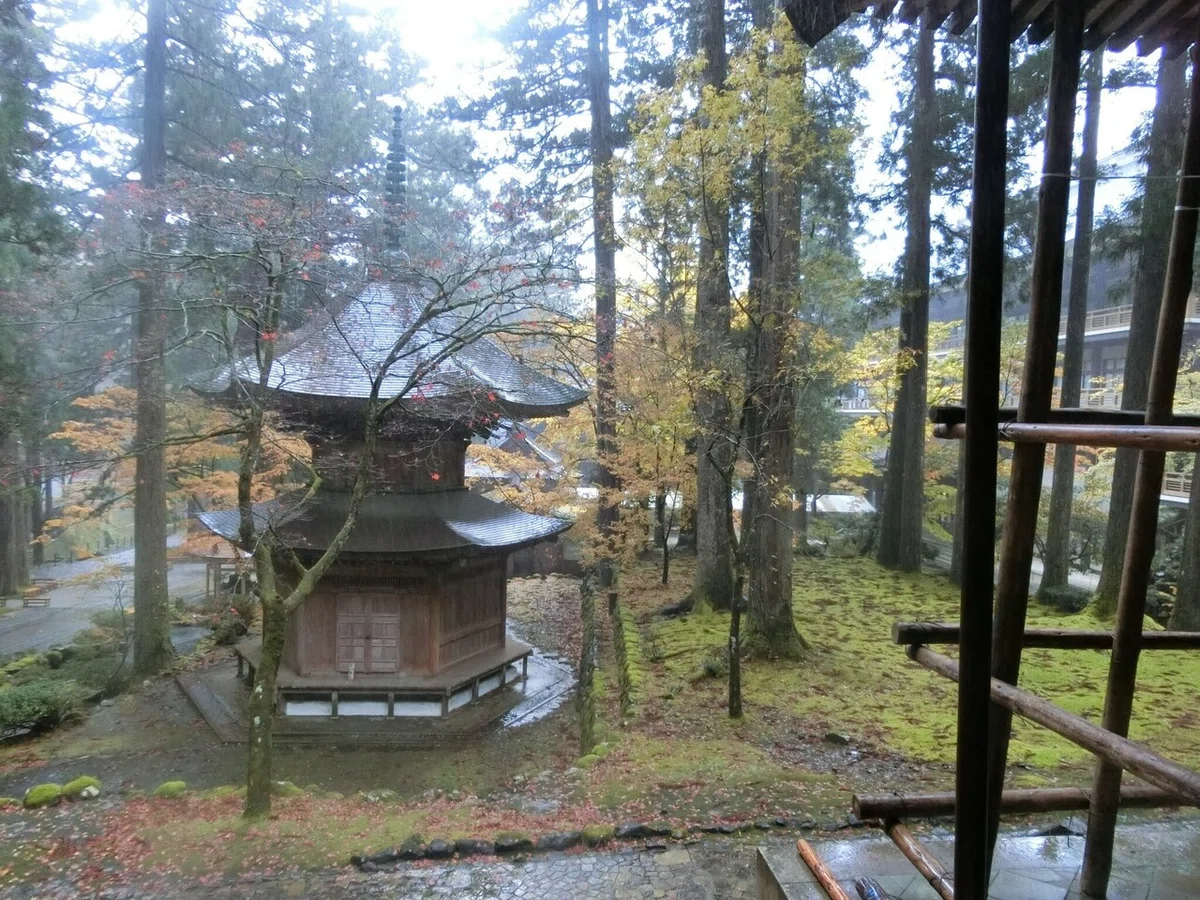 画像45